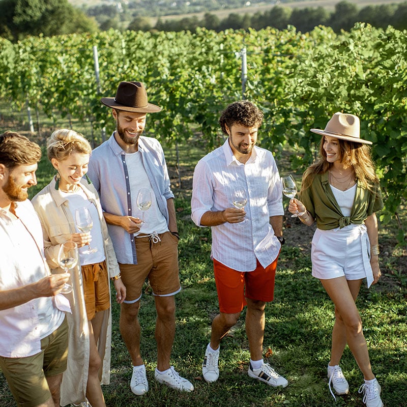 friends-tasting-wine-on-the-vineyard-2025-03-28-05-23-32-utc