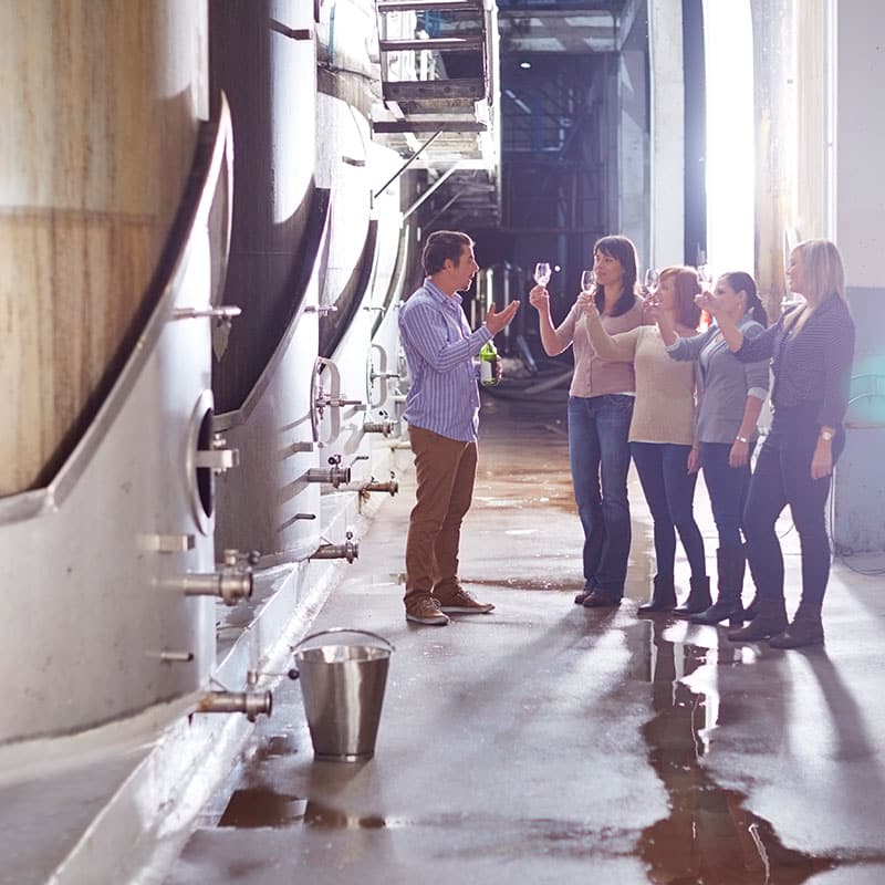 group-of-people-clinking-wine-glasses-on-shop-floo-2024-09-16-14-55-31-utc